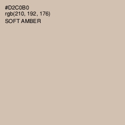 #D2C0B0 - Soft Amber Color Image